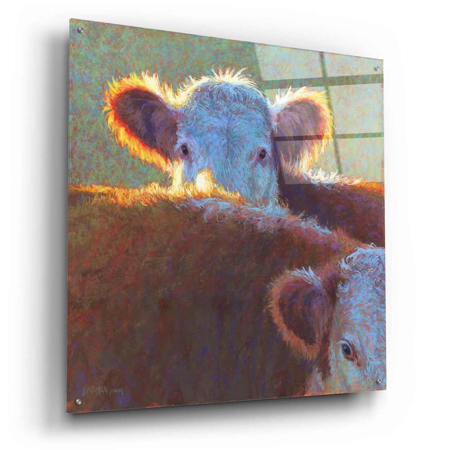 Epic Art 'Paak-A-Moo2 by Rita Kirkman, Acrylic Glass Wall Art,36x36