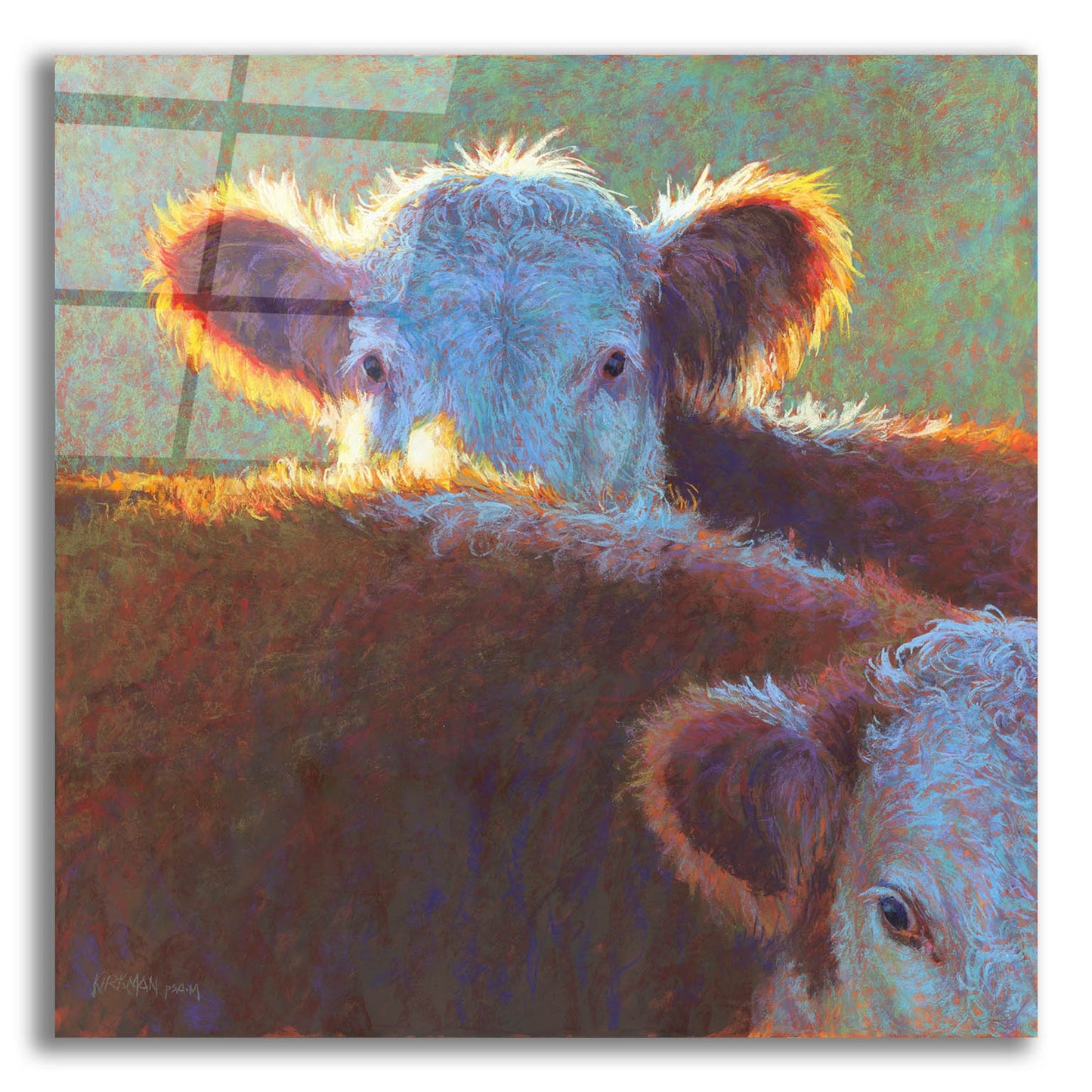 Epic Art 'Paak-A-Moo2 by Rita Kirkman, Acrylic Glass Wall Art