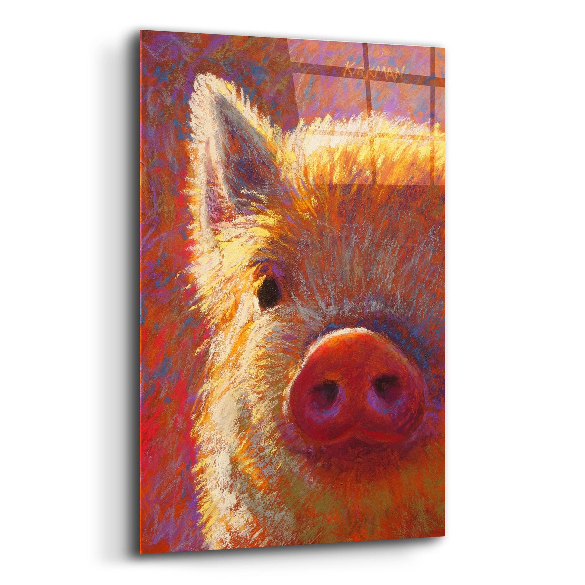 Epic Art 'Piglet Mini Vi2 by Rita Kirkman, Acrylic Glass Wall Art,12x16