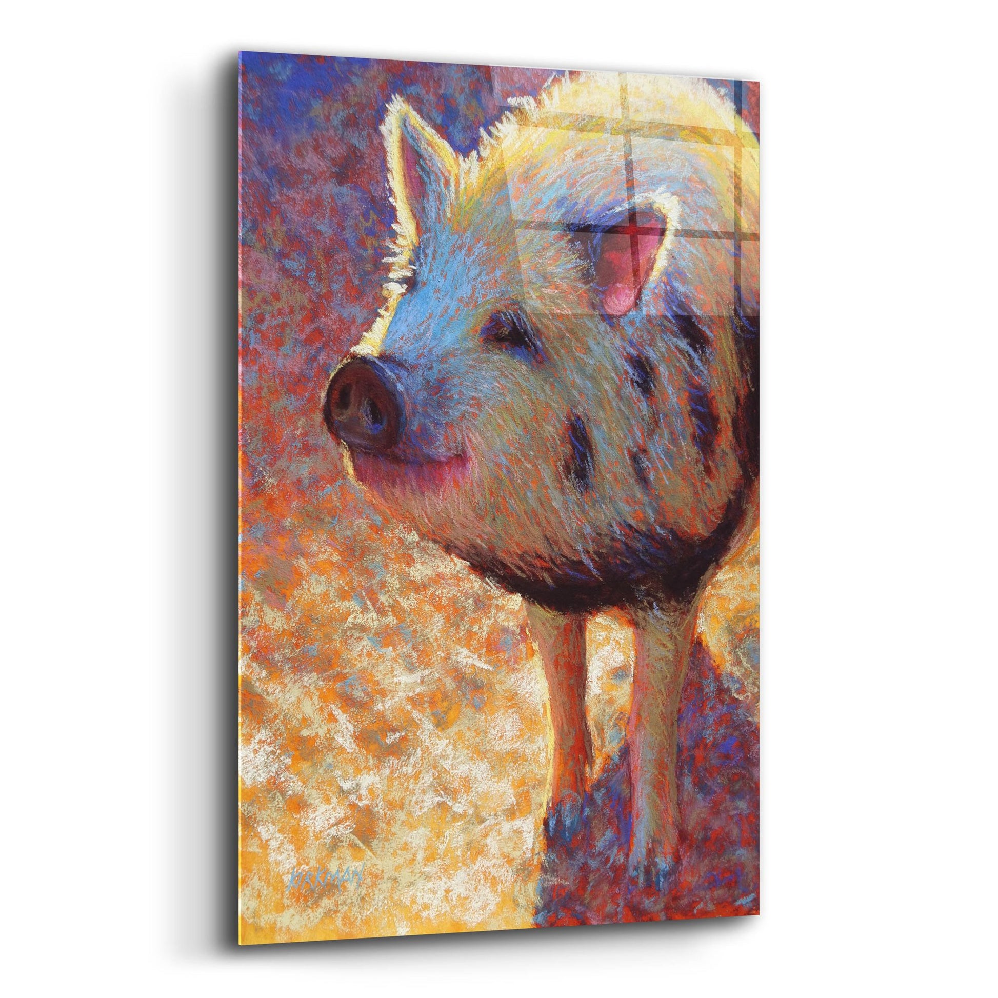 Epic Art 'Puffy Pig 2 by Rita Kirkman, Acrylic Glass Wall Art,12x16