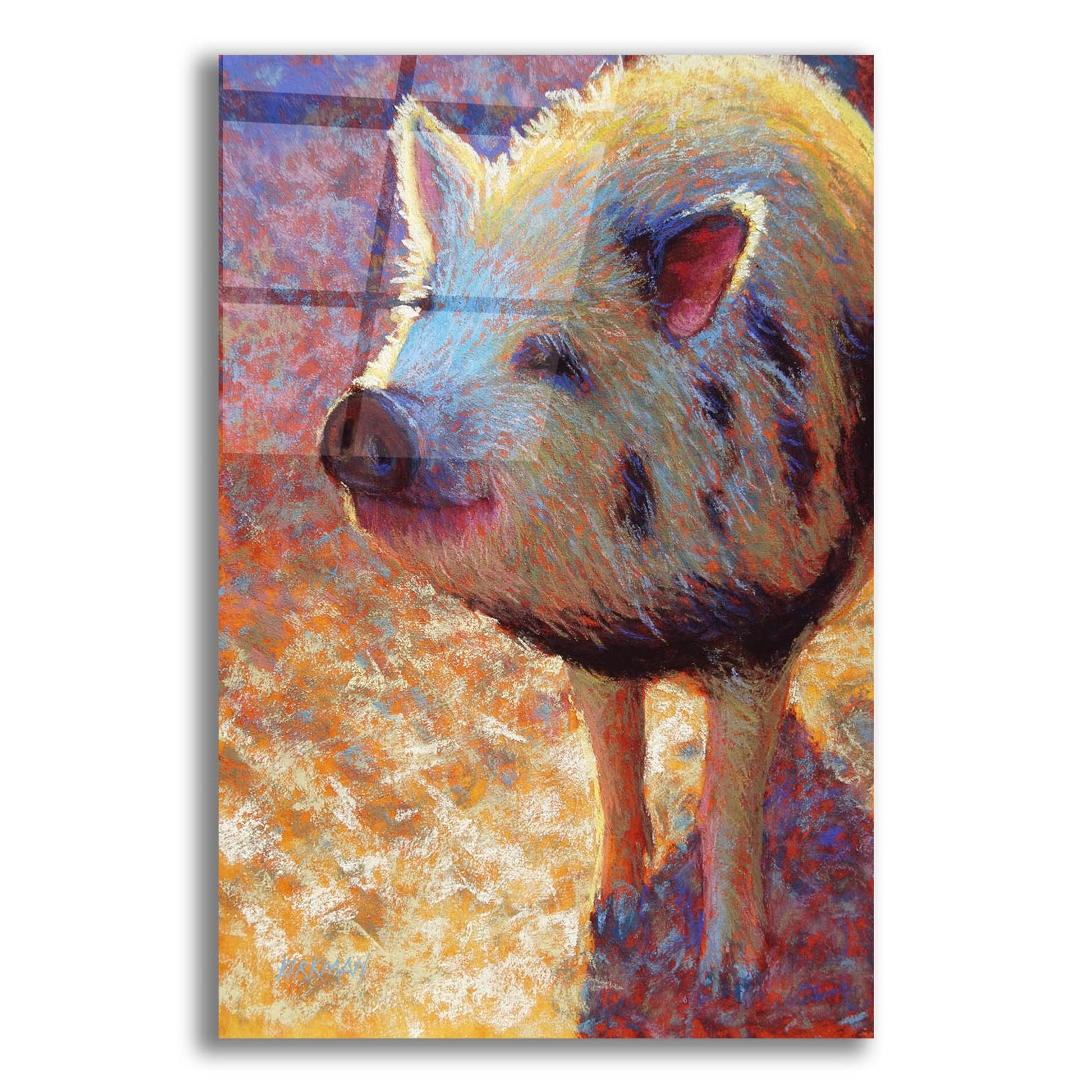 Epic Art 'Puffy Pig 2 by Rita Kirkman, Acrylic Glass Wall Art