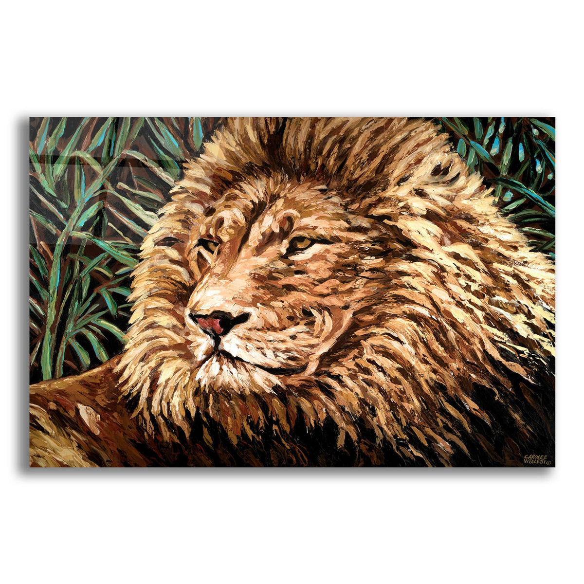 Cecil The Lion 16x20 by Carolee Vitaletti acrylic glass wall art
