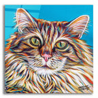 High Society Cat by Carolee Vitaletti acrylic glass wall art