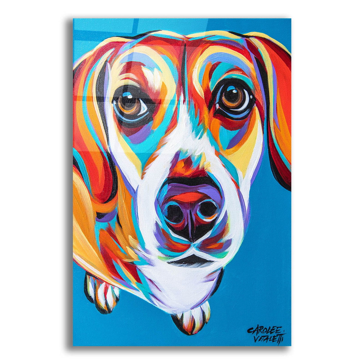 Nosey Dog 2 by Carolee Vitaletti acrylic glass wall art