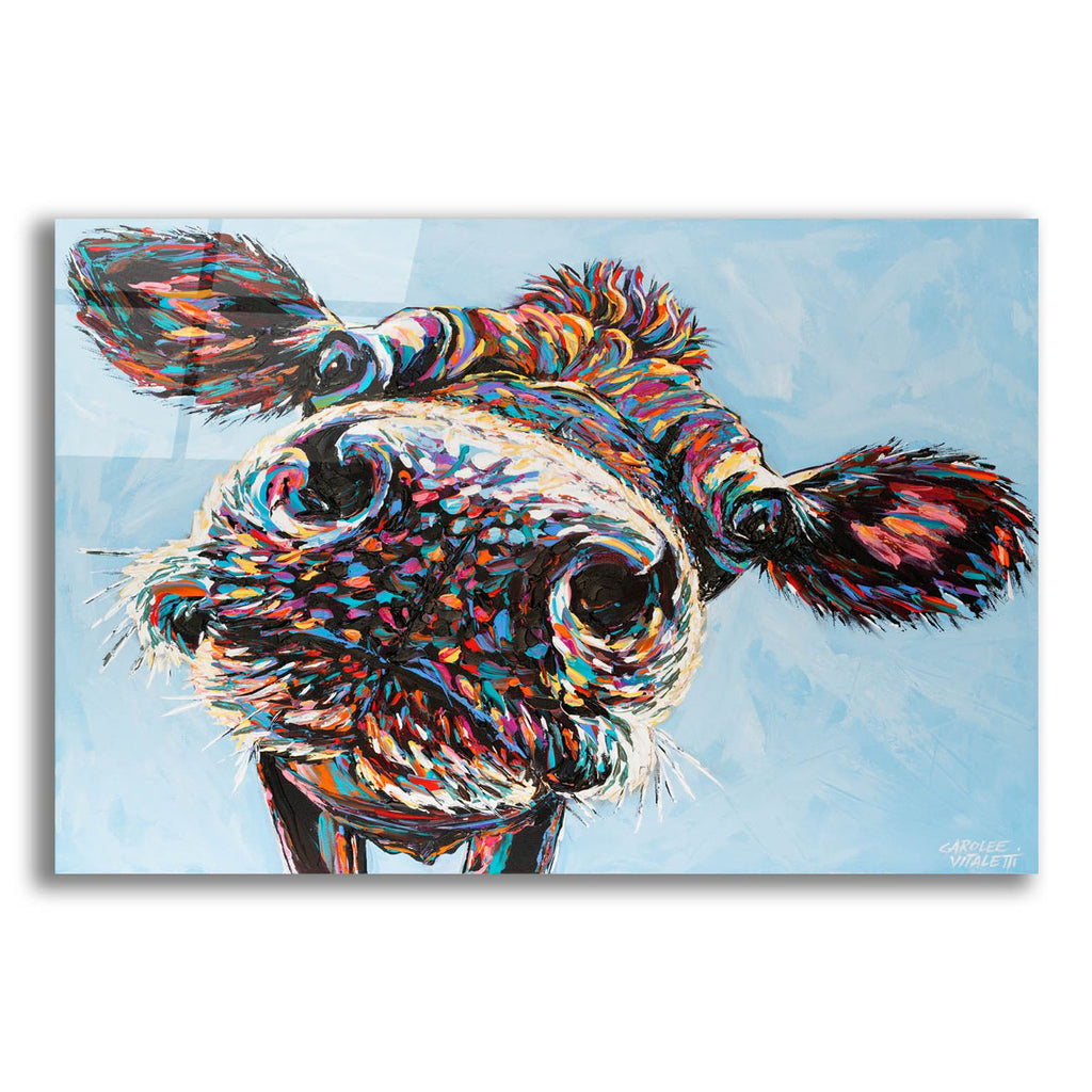 Funny Cow 2 by Carolee Vitaletti acrylic glass wall art