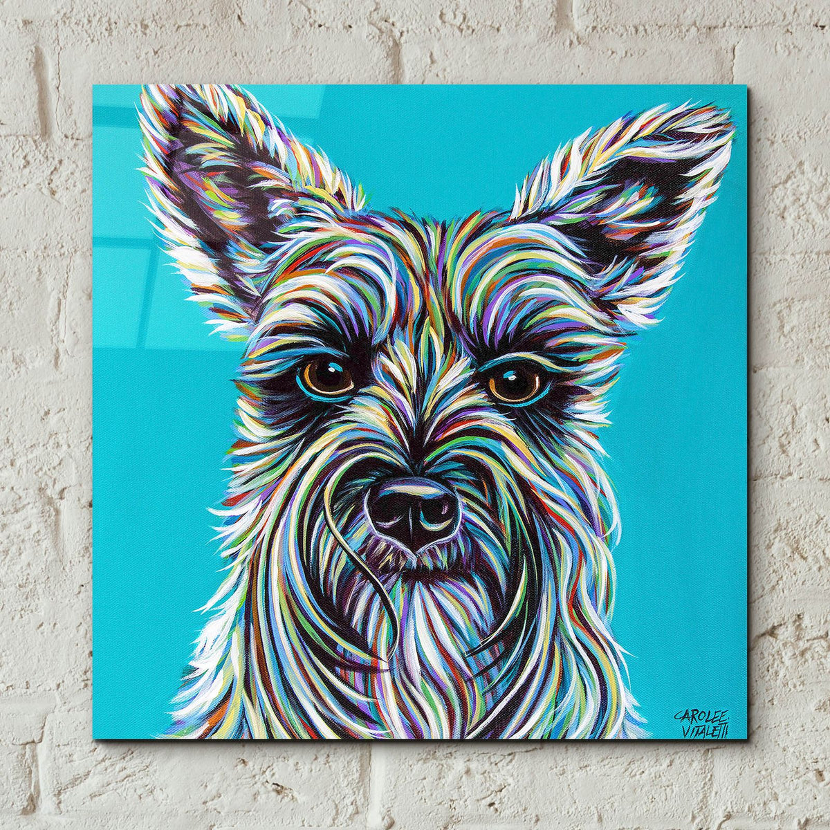 Colorful Schnauzer by Carolee Vitaletti - 12x12 acrylic wall art in a room