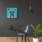 Colorful Schnauzer by Carolee Vitaletti - 24x24 acrylic wall art in a room