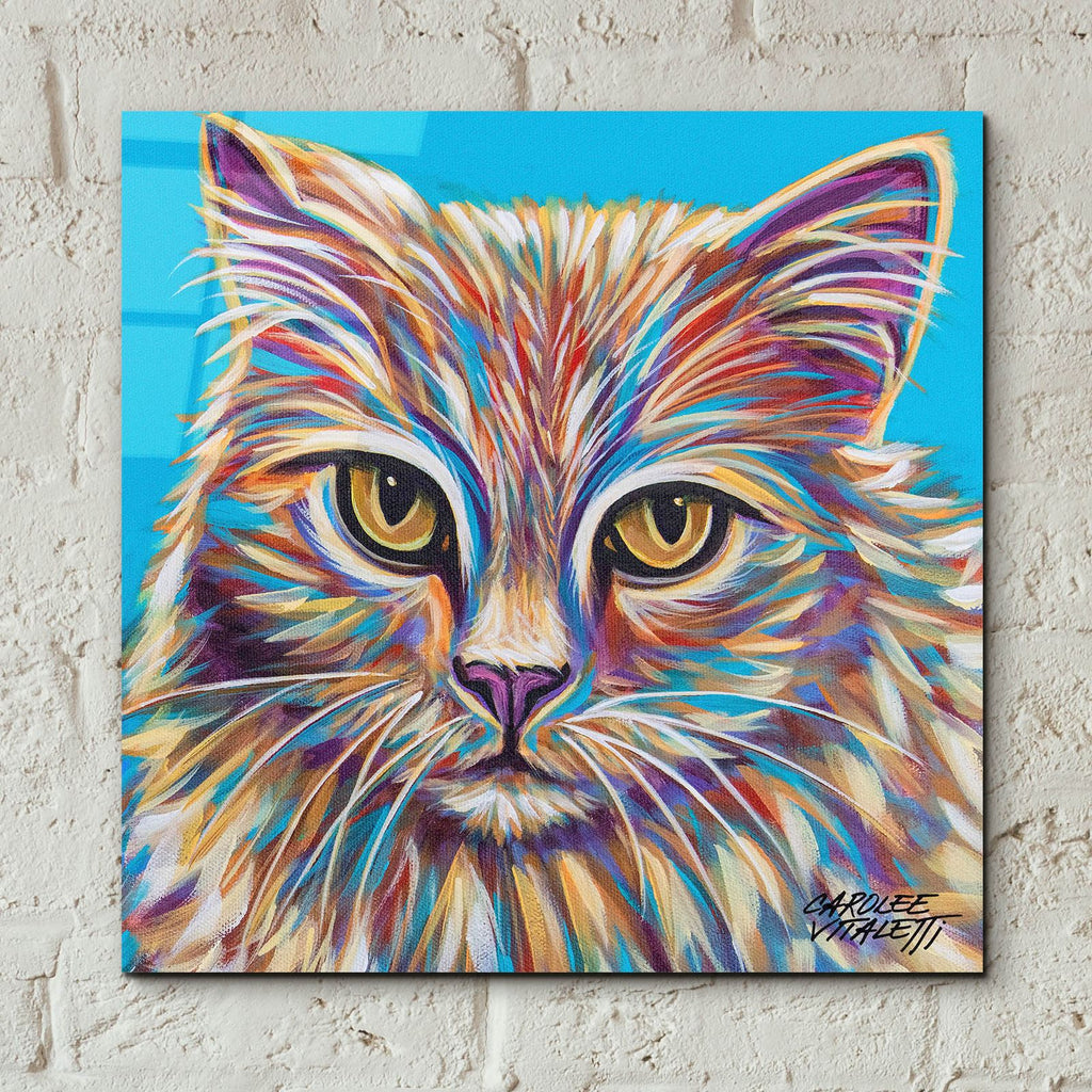 Pastel Cats 2 by Carolee Vitaletti - 12x12 acrylic wall art in a room