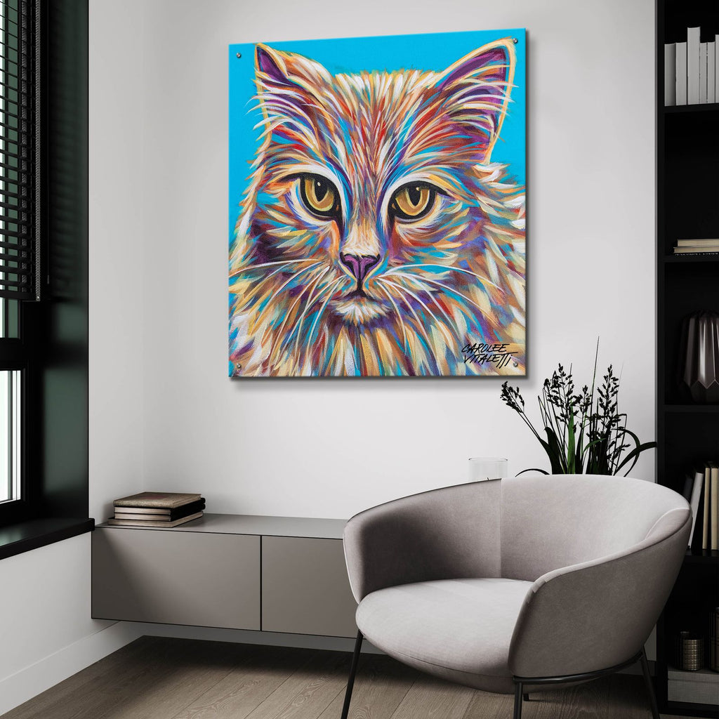Pastel Cats 2 by Carolee Vitaletti - 36x36 acrylic wall art in a room