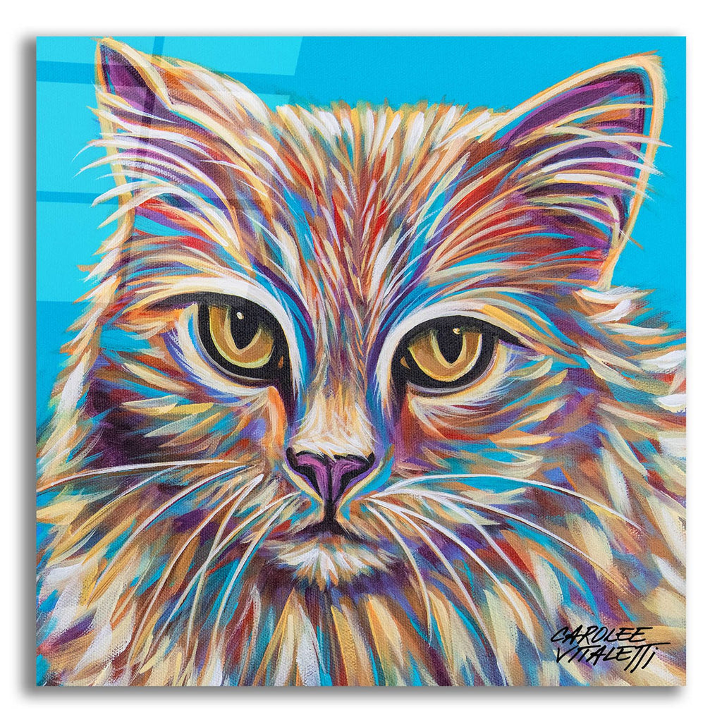 Pastel Cats 2 by Carolee Vitaletti acrylic glass wall art