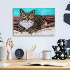 Kaleidoscope Comfy Cat by Carolee Vitaletti - 16x12 acrylic wall art in a room