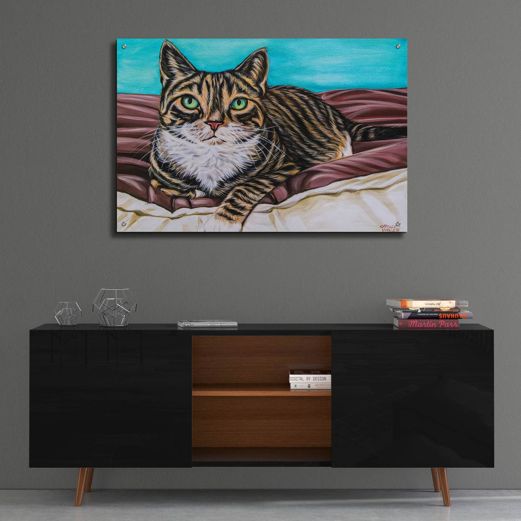 Kaleidoscope Comfy Cat by Carolee Vitaletti - 36x24 acrylic wall art in a room