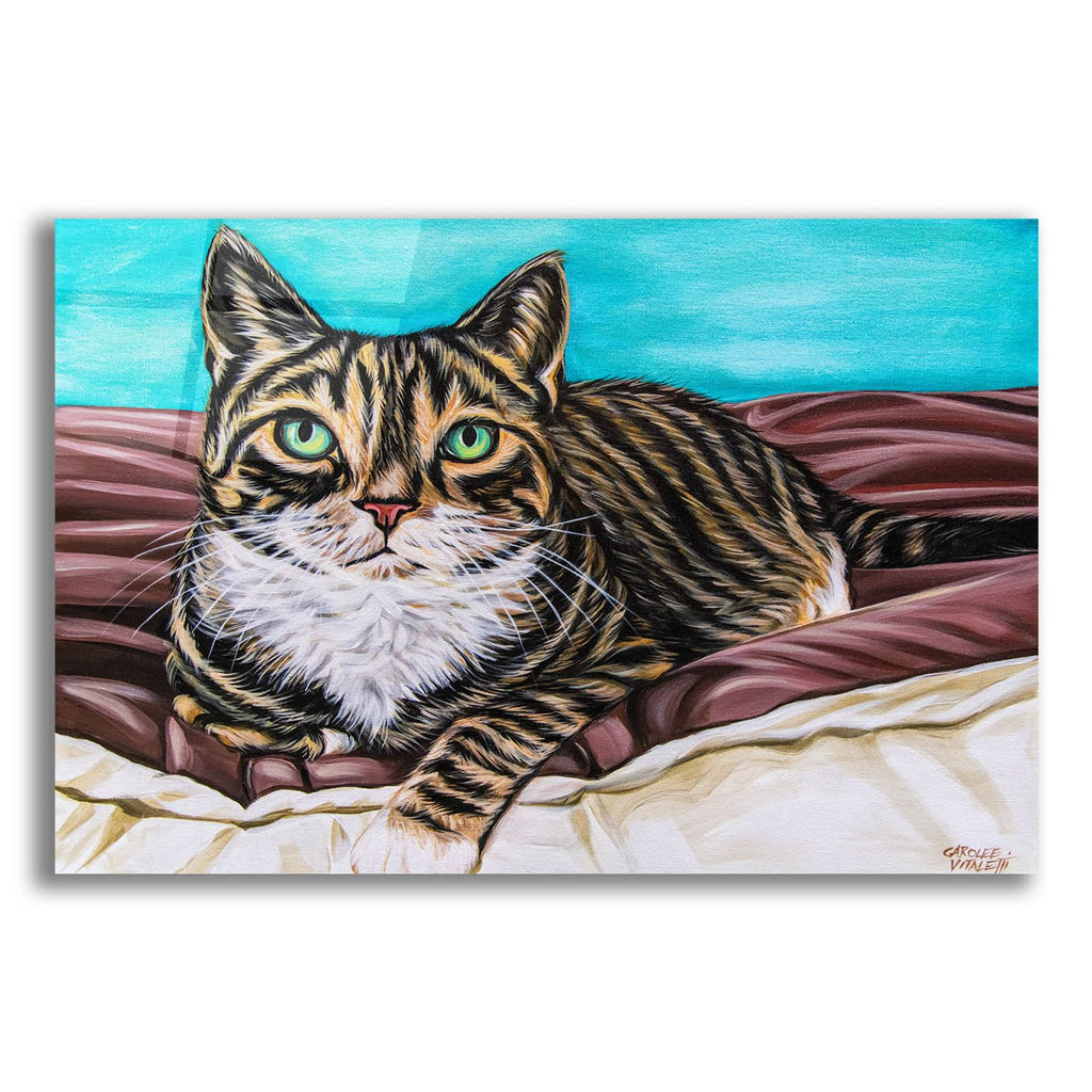 Kaleidoscope Comfy Cat by Carolee Vitaletti acrylic glass wall art