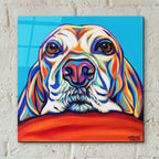 Kaleidoscope Dog 2 by Carolee Vitaletti - 12x12 acrylic wall art in a room