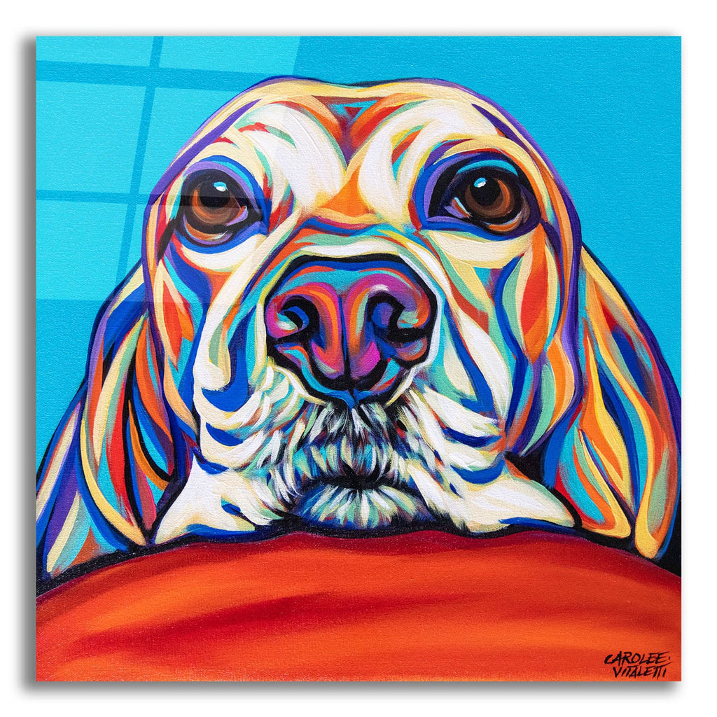 Kaleidoscope Dog 2 by Carolee Vitaletti acrylic glass wall art