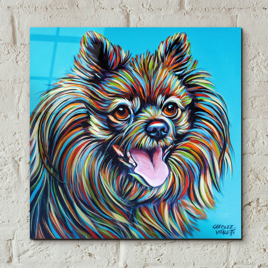 Kaleidoscope Dog 3 by Carolee Vitaletti - 12x12 acrylic wall art in a room