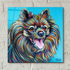 Kaleidoscope Dog 3 by Carolee Vitaletti - 12x12 acrylic wall art in a room