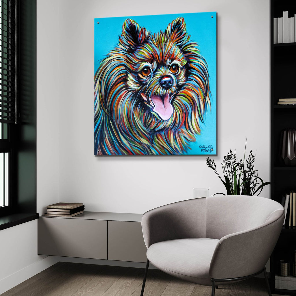 Kaleidoscope Dog 3 by Carolee Vitaletti - 36x36 acrylic wall art in a room