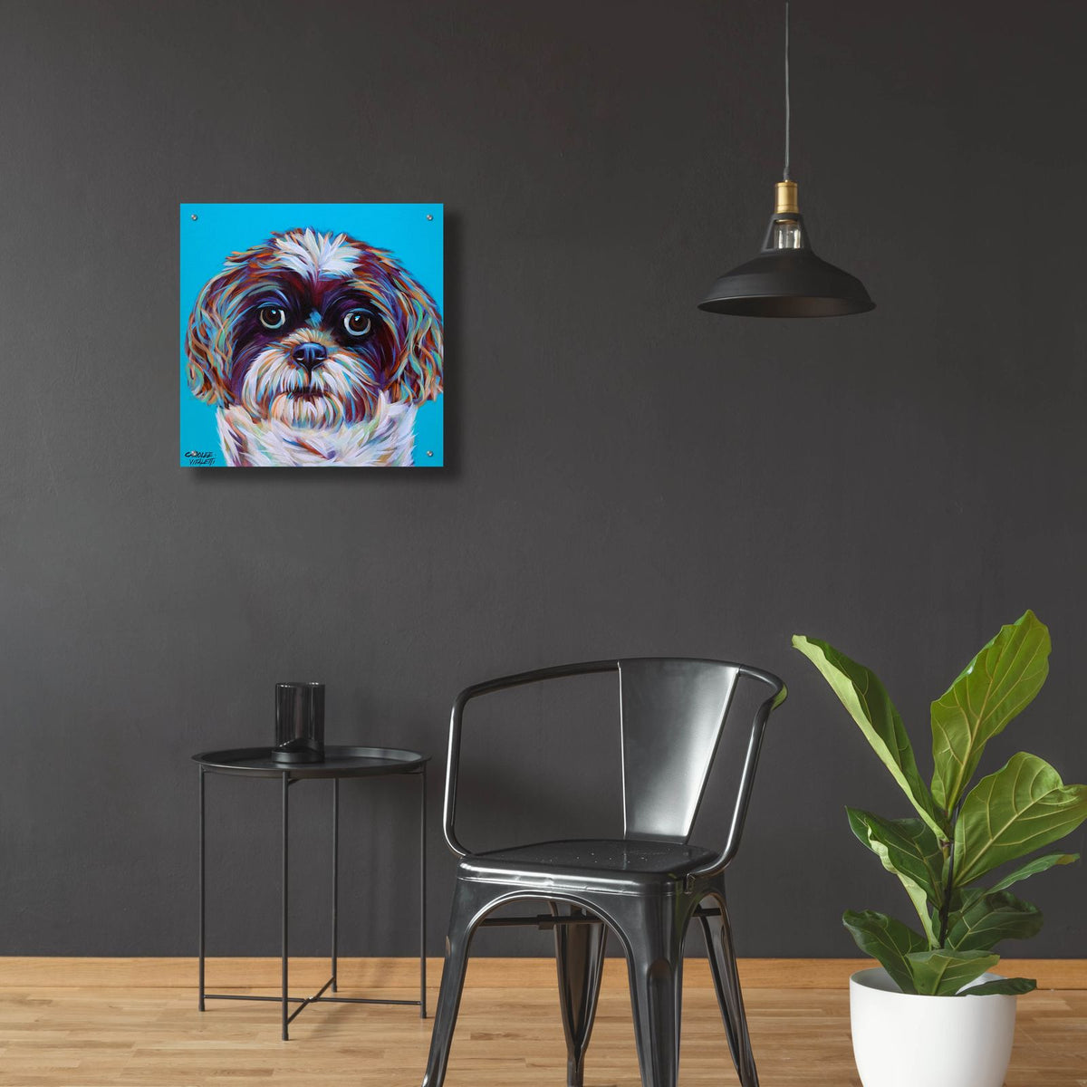 Shih Tzu On Blue by Carolee Vitaletti - 24x24 acrylic wall art in a room