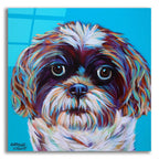 Shih Tzu On Blue by Carolee Vitaletti acrylic glass wall art