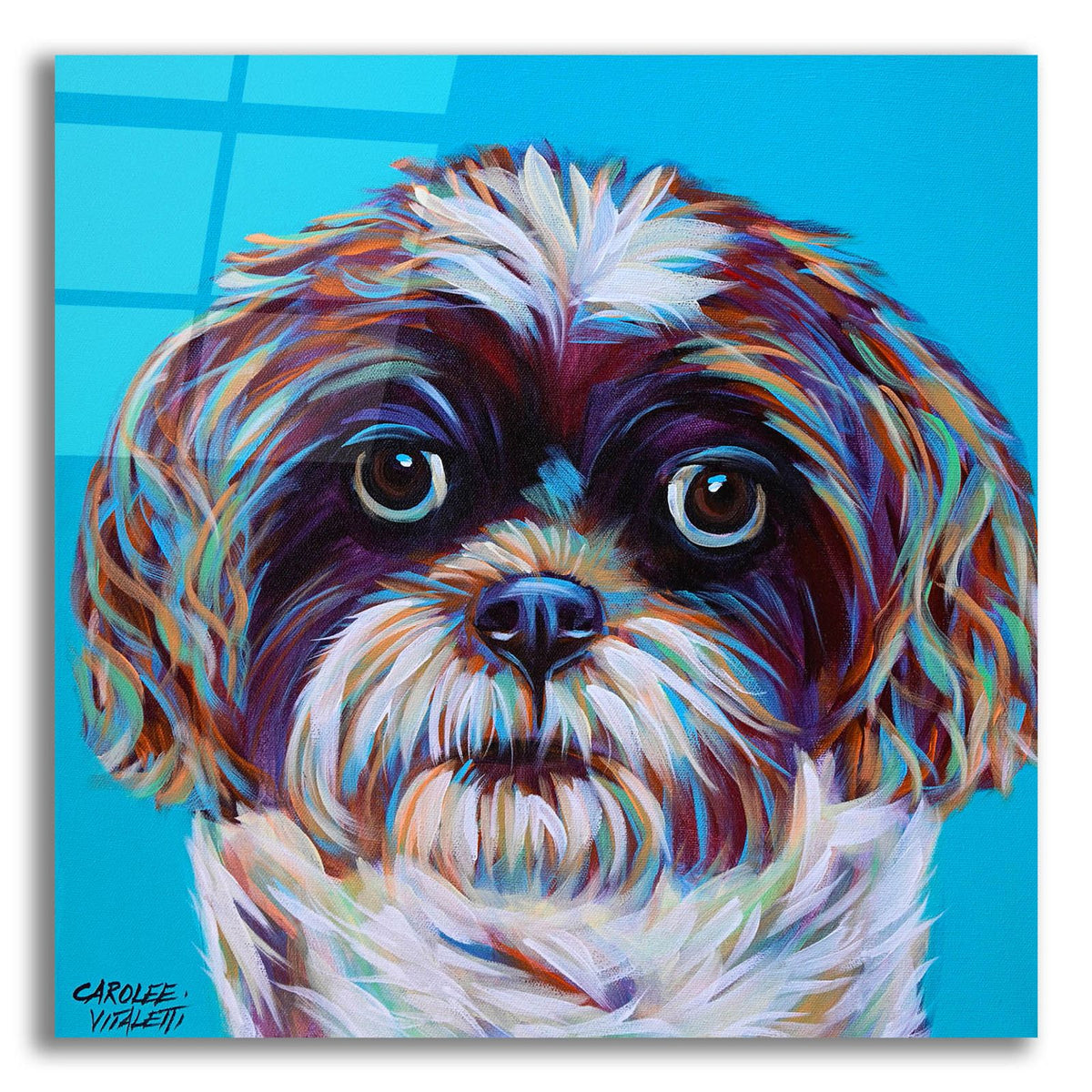 Shih Tzu On Blue by Carolee Vitaletti acrylic glass wall art
