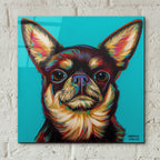 Blue Dark Chihuahua by Carolee Vitaletti - 12x12 acrylic wall art in a room