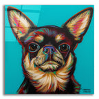 Blue Dark Chihuahua by Carolee Vitaletti acrylic glass wall art