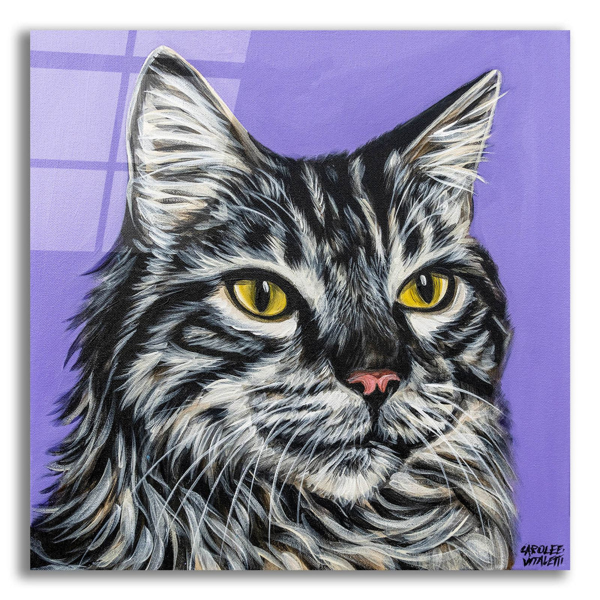 Tough Cat by Carolee Vitaletti acrylic glass wall art