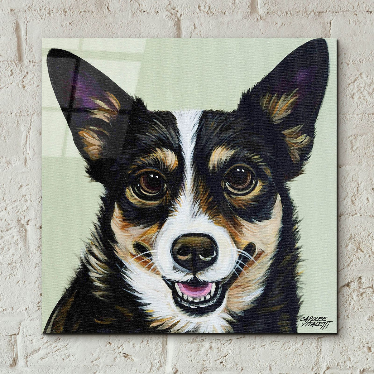 Black And Tan Corgi by Carolee Vitaletti - 12x12 acrylic wall art in a room
