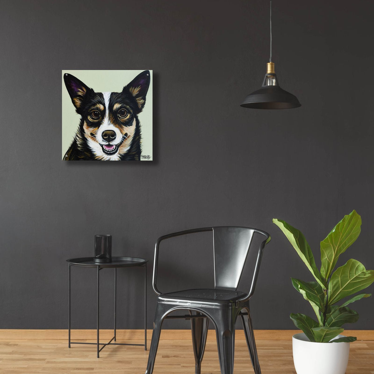 Black And Tan Corgi by Carolee Vitaletti - 24x24 acrylic wall art in a room