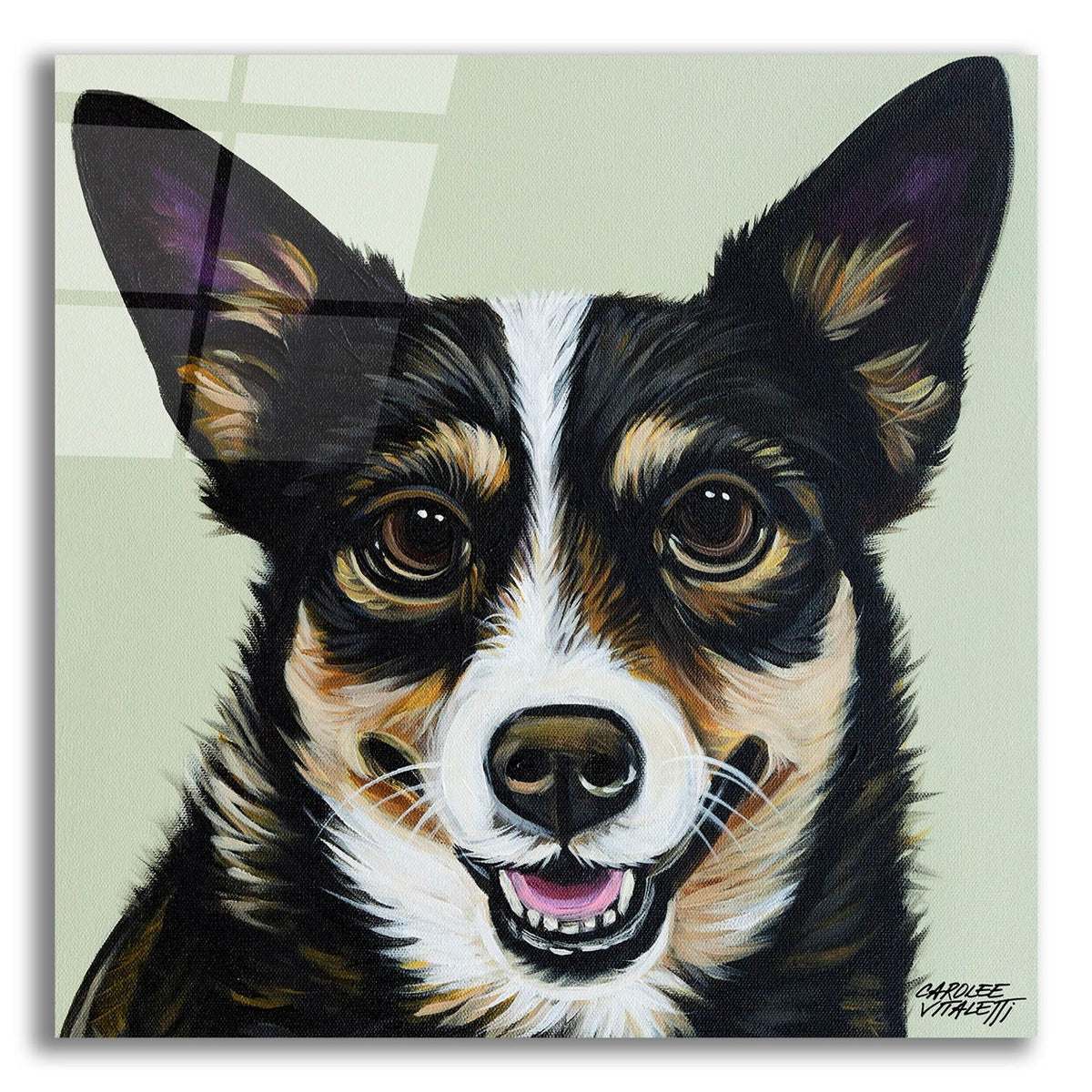 Black And Tan Corgi by Carolee Vitaletti acrylic glass wall art