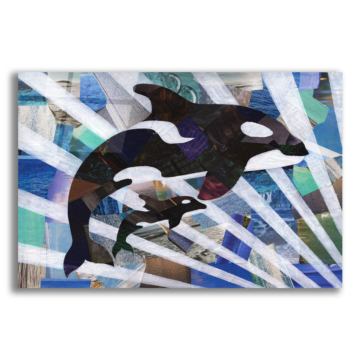 Killer Cute Whales by Artpoptart acrylic glass wall art