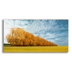 Autumn Colors 1 by Carlos Casamayor acrylic glass wall art