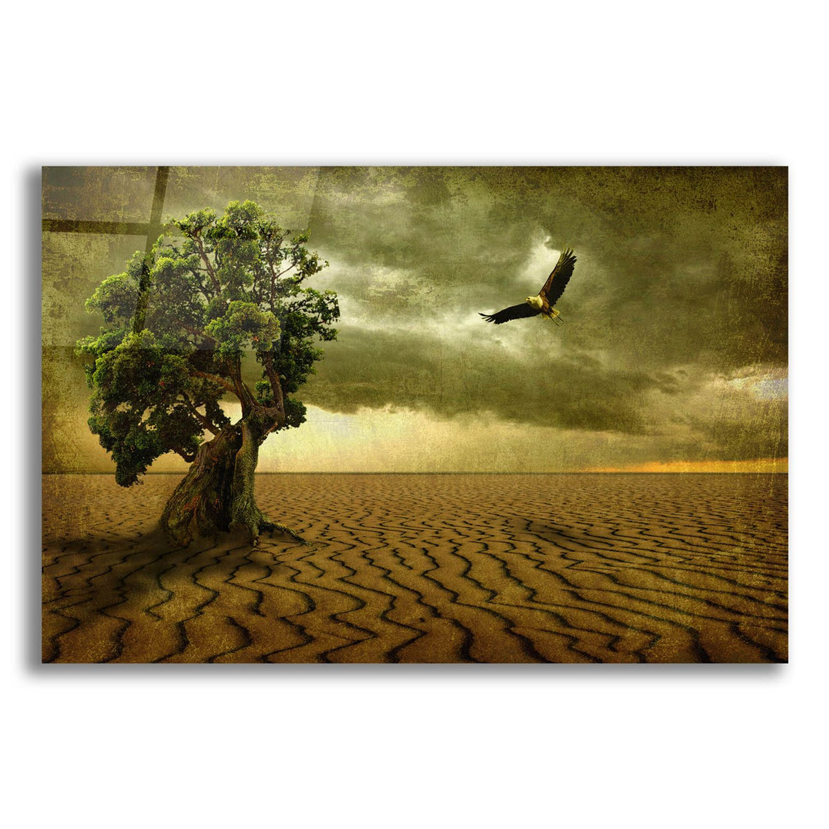 The Temptation by Carlos Casamayor acrylic glass wall art