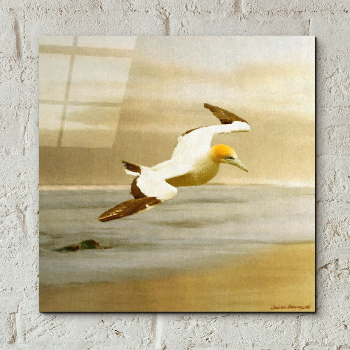 Alcatraz by Carlos Casamayor - 12x12 acrylic wall art in a room