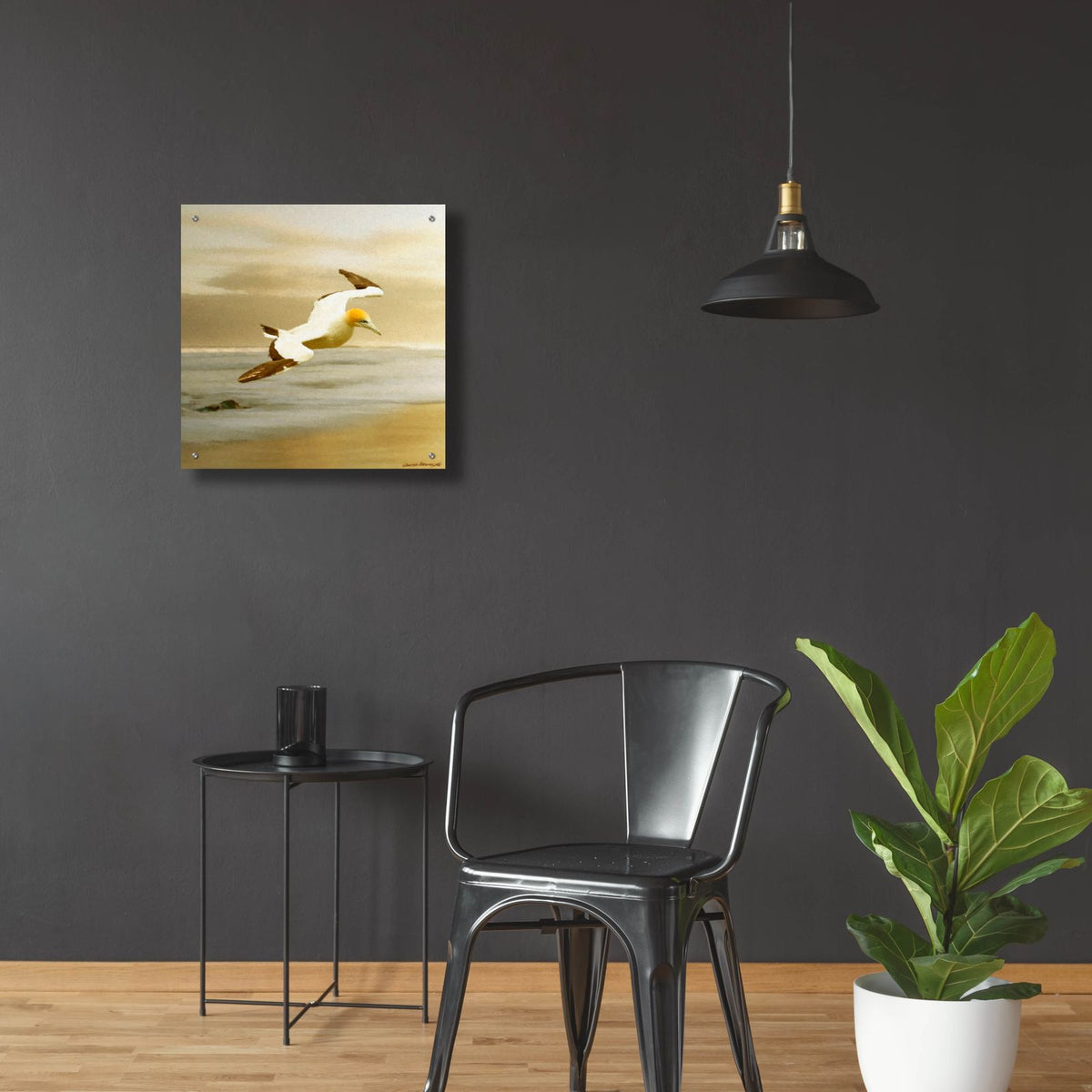 Alcatraz by Carlos Casamayor - 24x24 acrylic wall art in a room