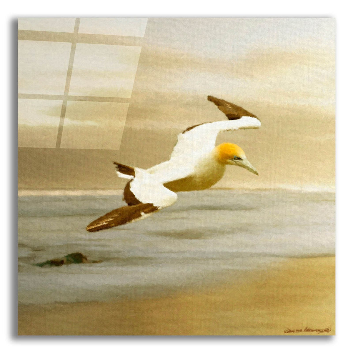 Alcatraz by Carlos Casamayor acrylic glass wall art