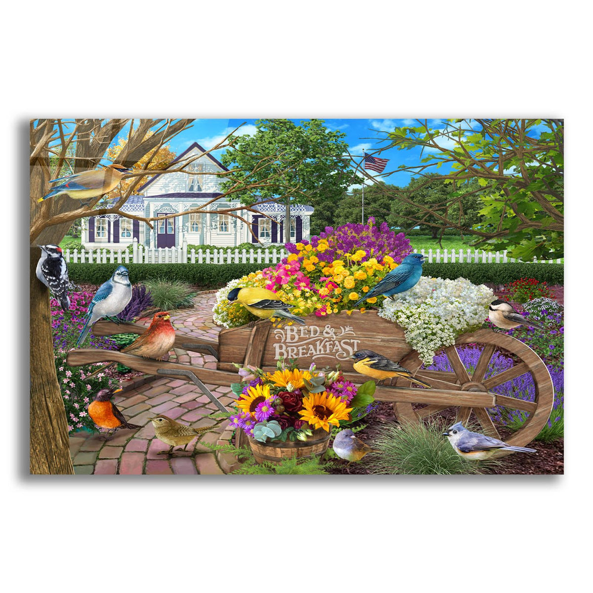 B And B Birds 1-4 by Bigelow Illustrations acrylic glass wall art