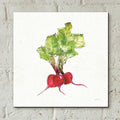 Veggie Market II Radish by Anne Tavoletti - 12x12 acrylic wall art in a room