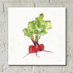 Veggie Market II Radish by Anne Tavoletti - 12x12 acrylic wall art in a room