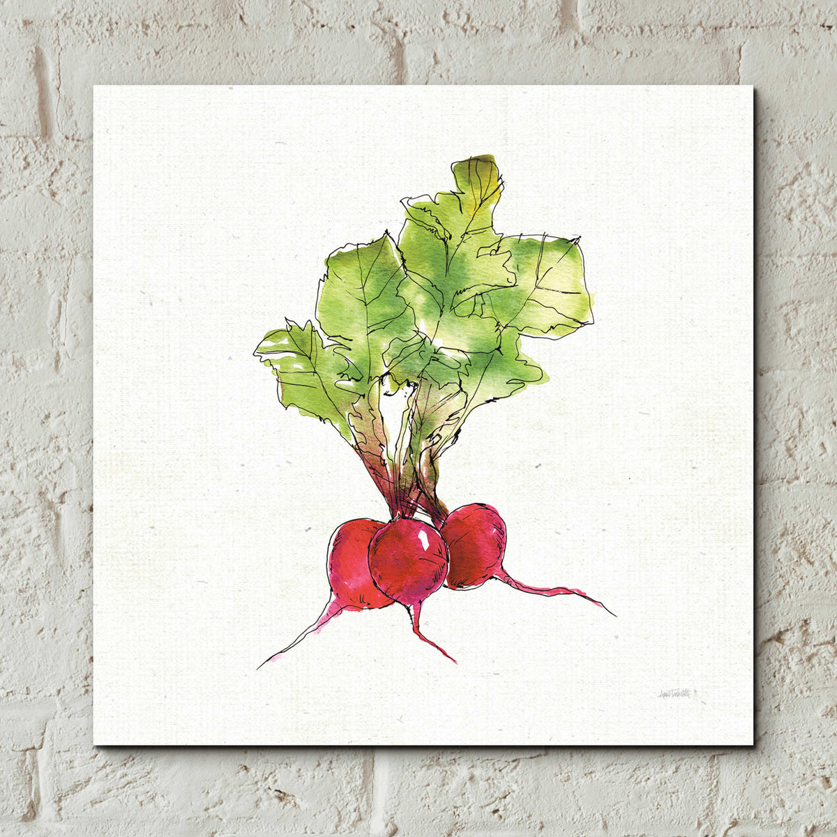 Veggie Market II Radish by Anne Tavoletti - 12x12 acrylic wall art in a room