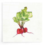 Veggie Market II Radish by Anne Tavoletti acrylic glass wall art