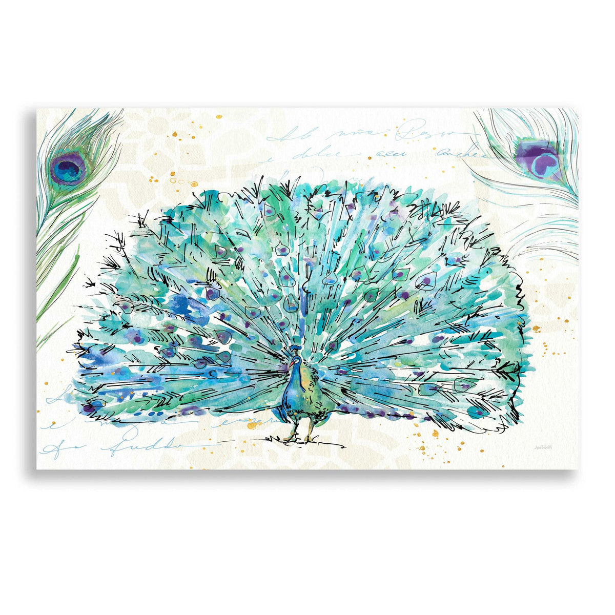 Peacock Garden IX by Anne Tavoletti acrylic glass wall art