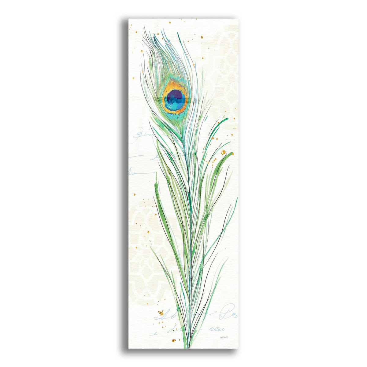 Peacock Garden VI by Anne Tavoletti acrylic glass wall art
