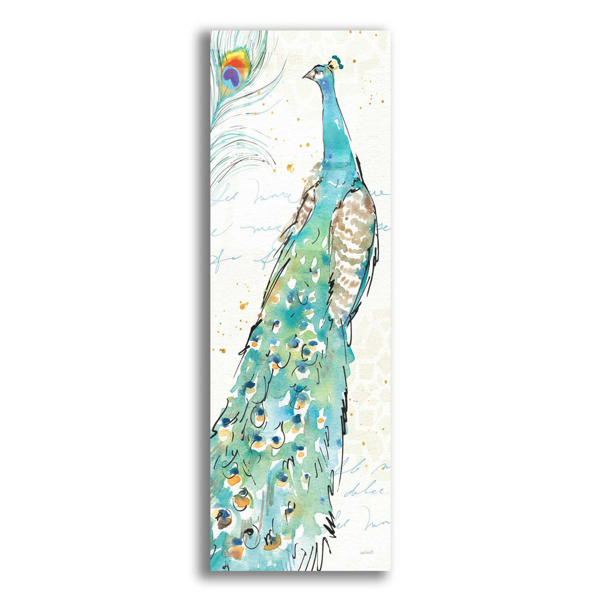 Peacock Garden III by Anne Tavoletti acrylic glass wall art
