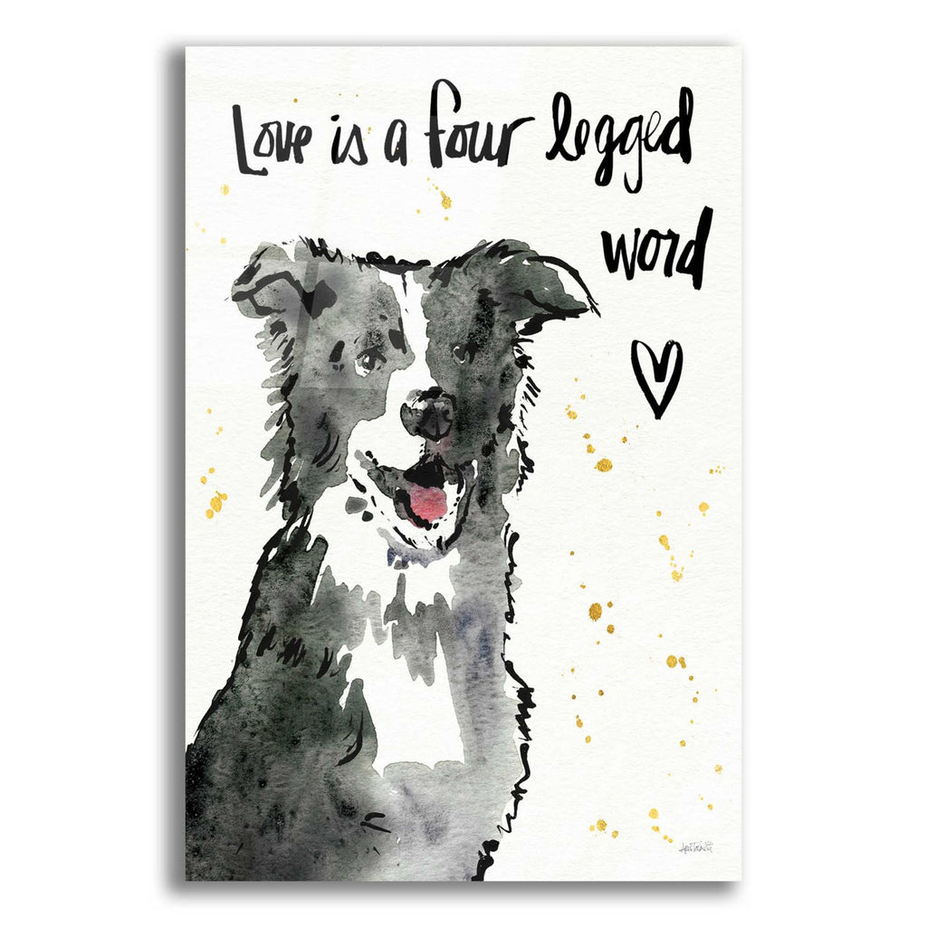 Strike a Paws XI by Anne Tavoletti acrylic glass wall art