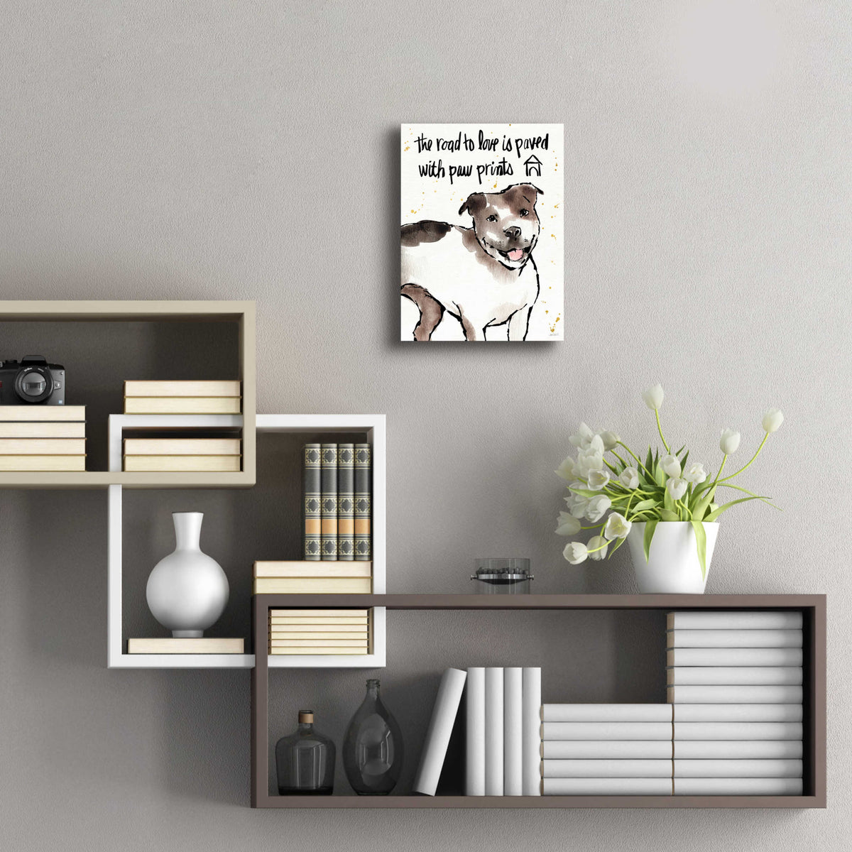 Strike a Paws XV by Anne Tavoletti - 12x16 acrylic wall art in a room
