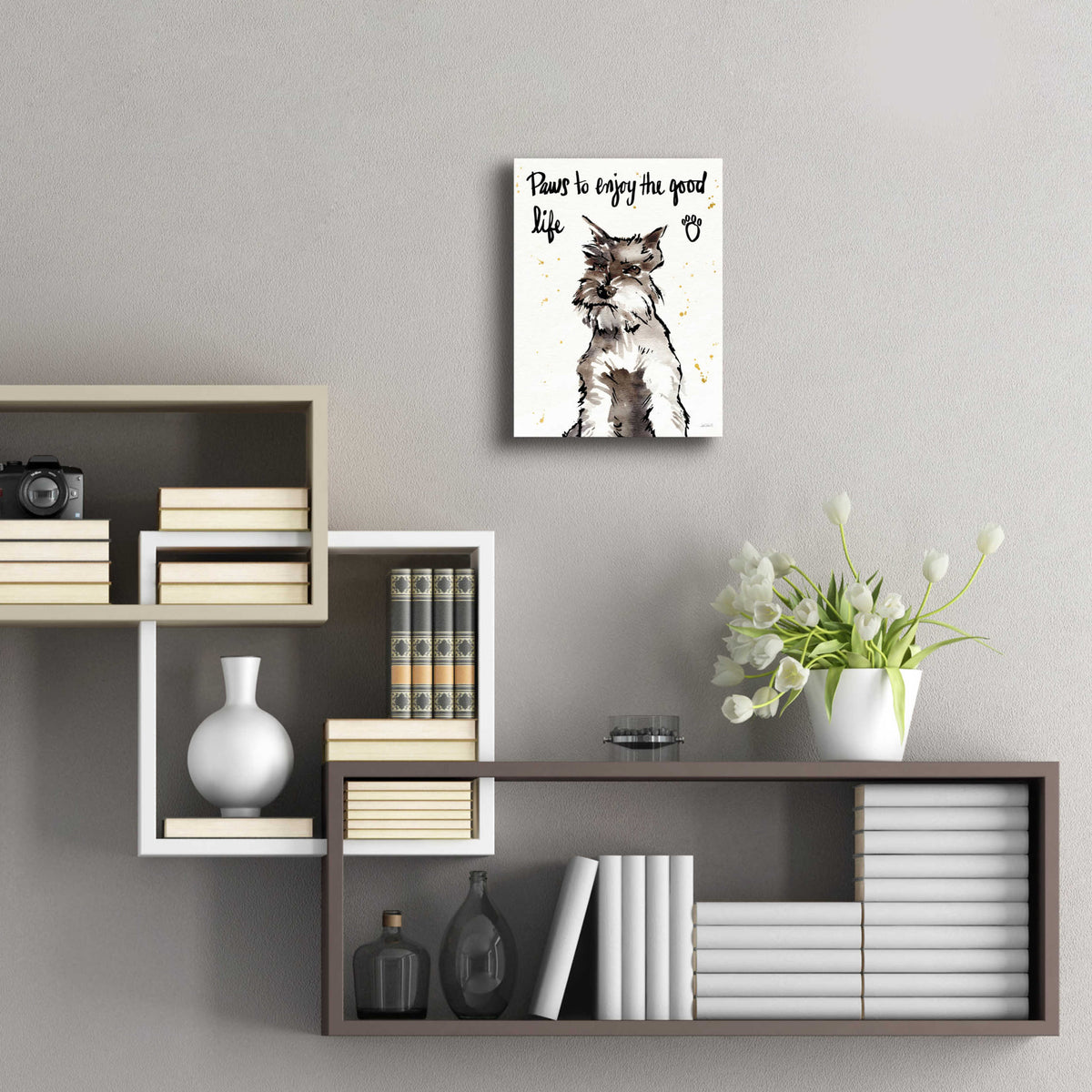 Strike a Paws XIV by Anne Tavoletti - 12x16 acrylic wall art in a room