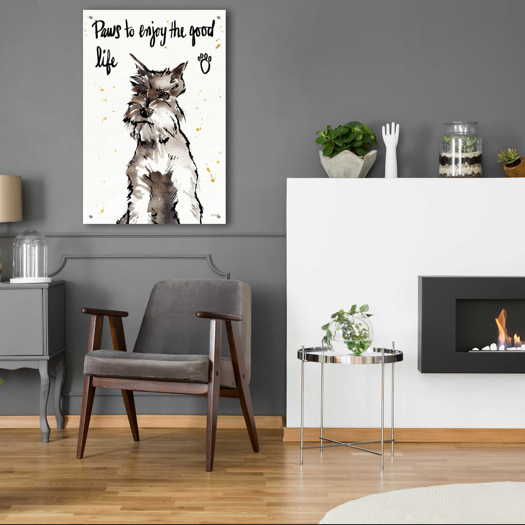 Strike a Paws XIV by Anne Tavoletti - 24x36 acrylic wall art in a room