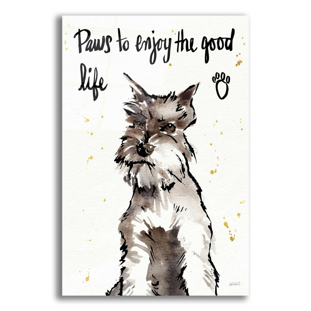Strike a Paws XIV by Anne Tavoletti acrylic glass wall art